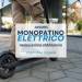 🛴 Monopattini elettrici: dal 14 dicembre 2024 è scattato l’obbligo di targa, casco e assicurazione
