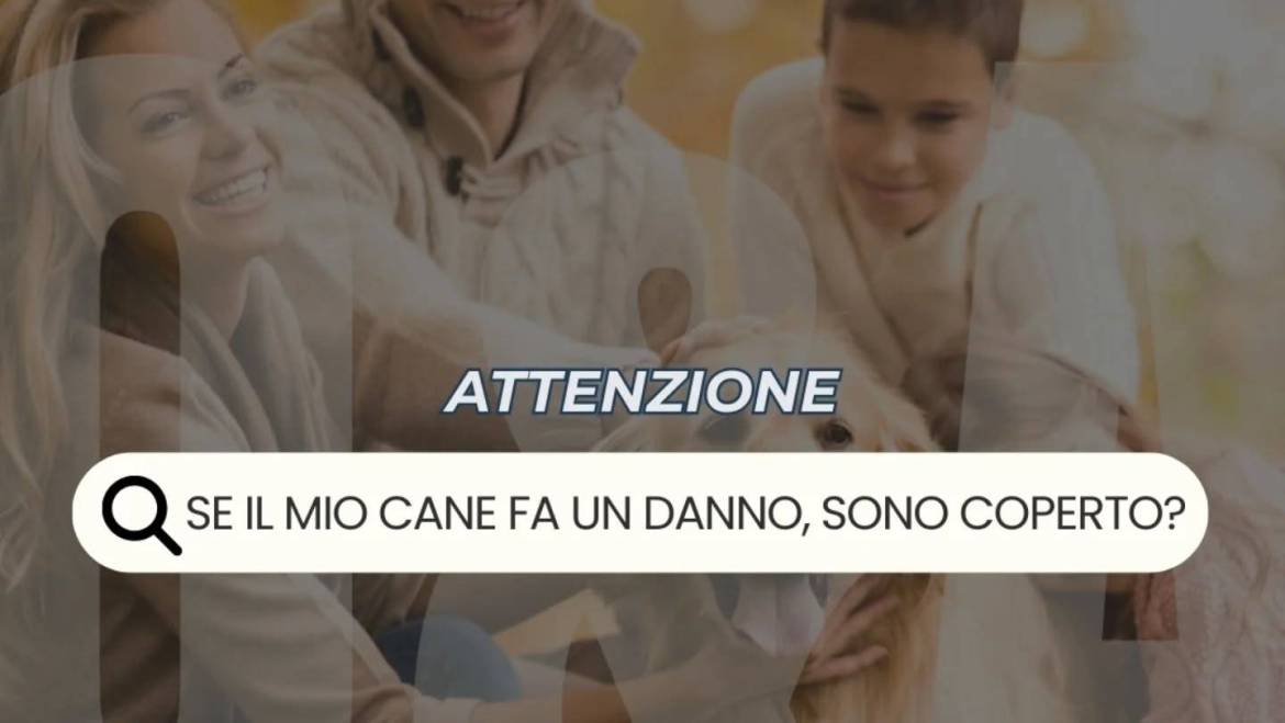 Il tuo cane è dolcissimo… ma può combinare guai? la polizza adatta c’è