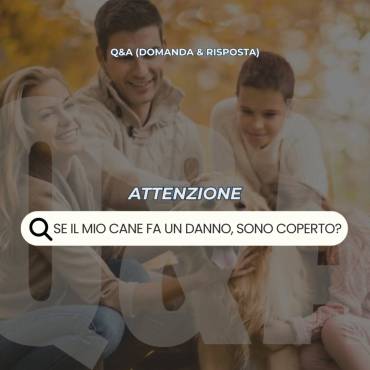 Il tuo cane è dolcissimo… ma può combinare guai? la polizza adatta c’è